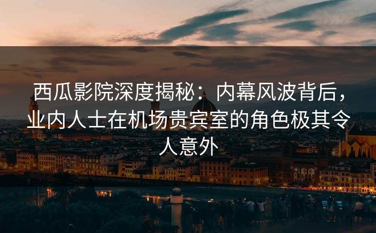 西瓜影院深度揭秘：内幕风波背后，业内人士在机场贵宾室的角色极其令人意外