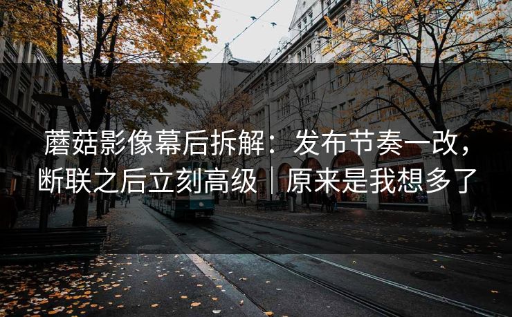 蘑菇影像幕后拆解：发布节奏一改，断联之后立刻高级｜原来是我想多了