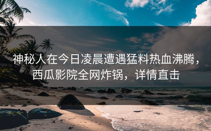 神秘人在今日凌晨遭遇猛料热血沸腾，西瓜影院全网炸锅，详情直击